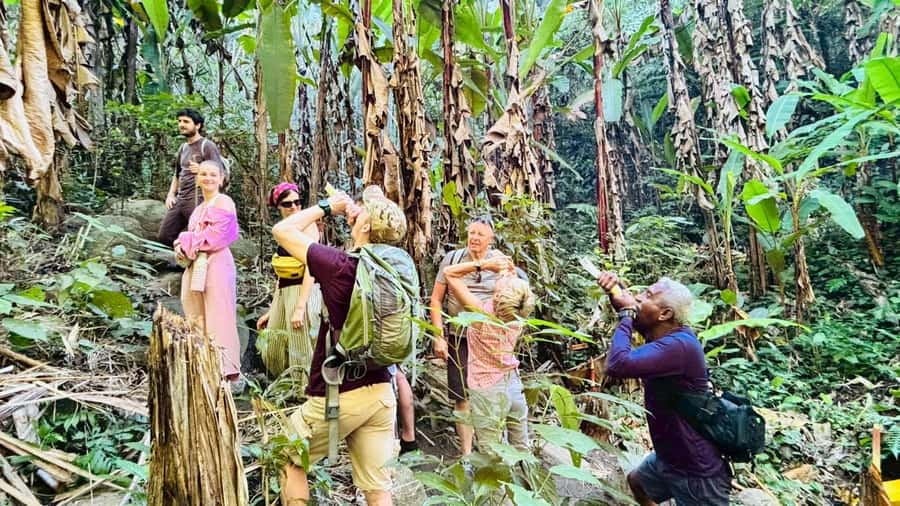 Chiang Rai: Jungle Adventure-Group Trekking & Bamboo Cooking - What the $80 price really covers
