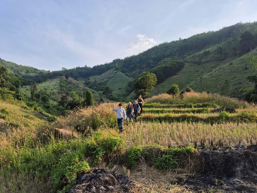 Chiang Rai Jungle Trek & Bamboo Tube Cooking Adventure - Finishing at Pasoet Hot Spring