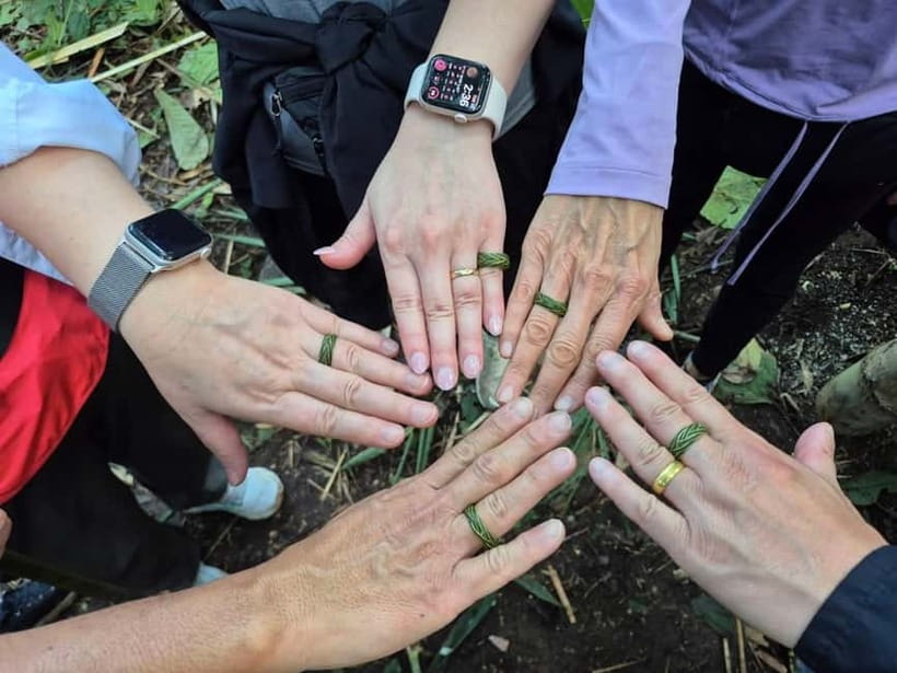 Chiang Rai: The Adventure of Trekking & Bamboo Cooking - Beginning the trek through bamboo forest