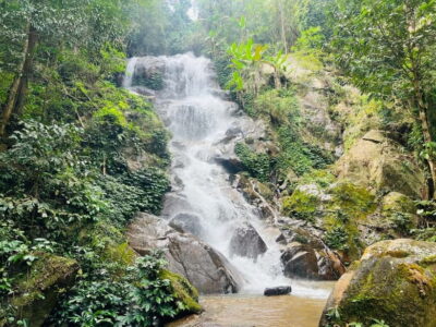 The Adventure of Trekking & Bamboo Cooking