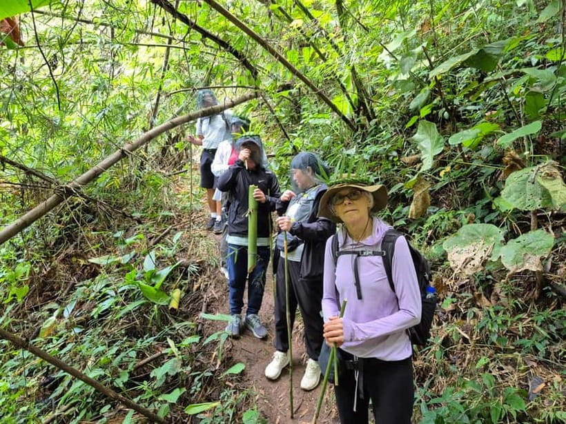 Chiang Rai: The Adventure of Trekking & Bamboo Cooking - Huai Kaeo Waterfall and the best chance to cool off
