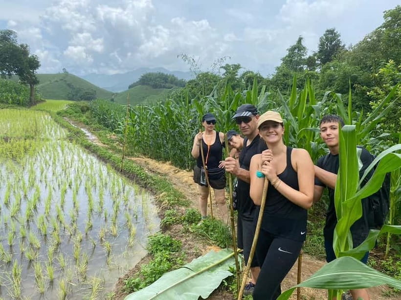 Chiang Rai Trek: 4 Hilltribes Villages & Waterfall Only Walk - Bamboo cooking and a firewood lunch