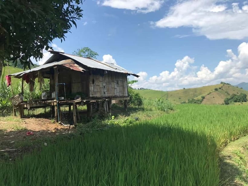 Chiang Rai Trek: 4 Hilltribes Villages & Waterfall Only Walk - Forest paths and the first Lisu village