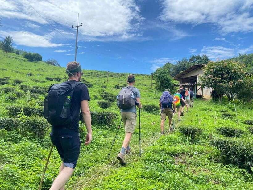 Chiangrai: Group Trekking with Bamboo Cooking - Key points to know before you book