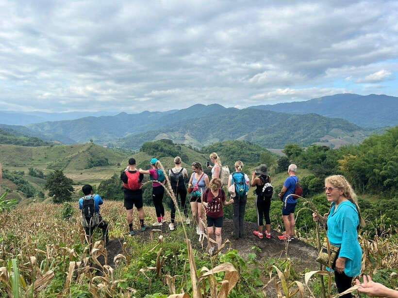 Chiangrai: Group Trekking with Bamboo Cooking - Tea plantations and the first real stretch of walking