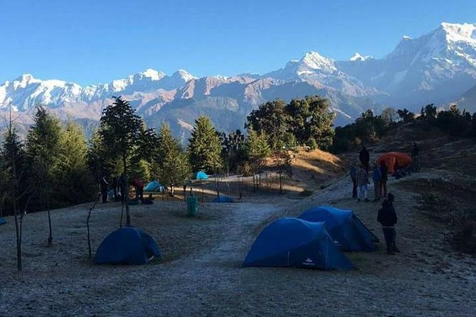 Chopta Trek - Day two: the forest path to Deoria Tal