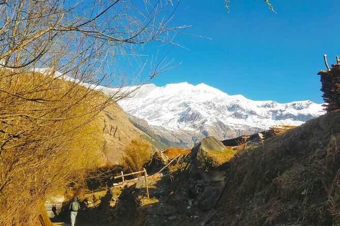 Circle the Annapurna: A Life-Changing Trek Adventure - Day 9: A full rest day in Manang