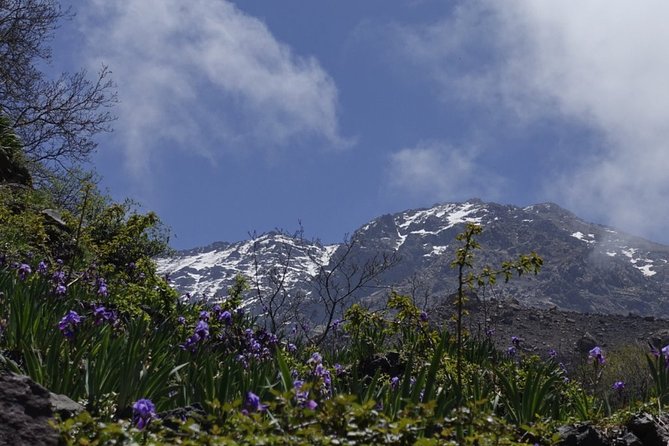 Climb Mount Toubkal - trekking - 3 days - The guides and support team