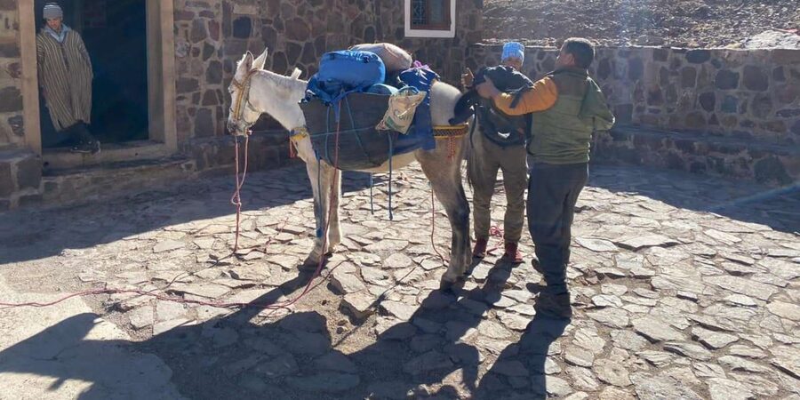 Climb Toubkal: 2-Day Atlas Trek with Local Berber Guide - Group size, language, and the guide’s role