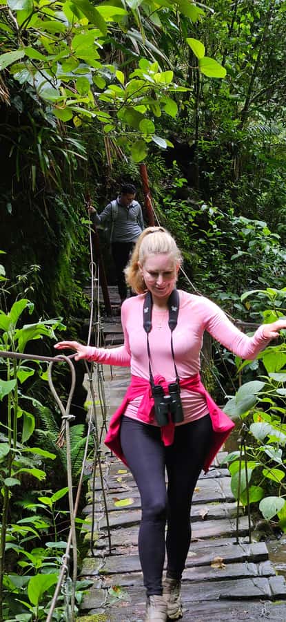 Cocora: trek to the hummingbirds sanctuary - From Salento to Cocora Valley
