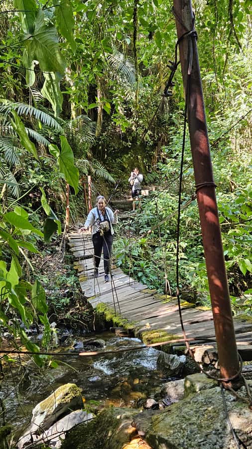 Cocora: trek to the hummingbirds sanctuary - Acaime and the Hummingbird House