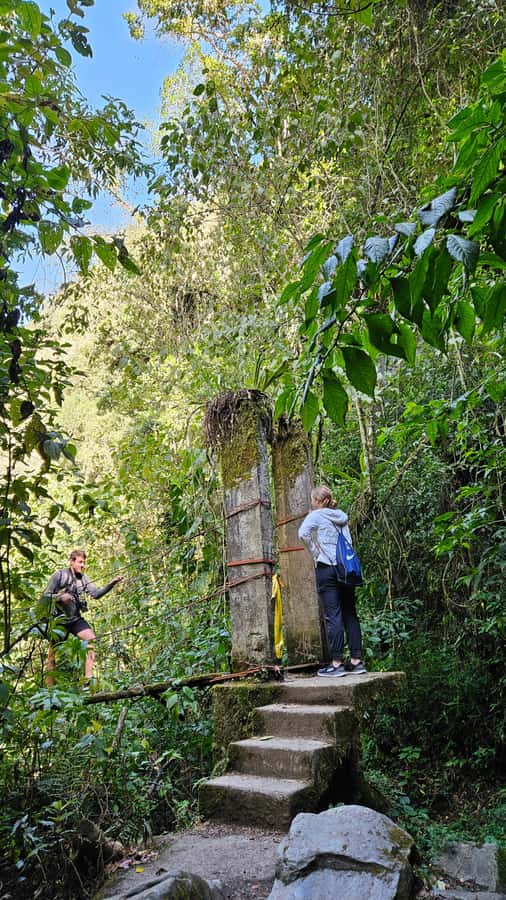 Cocora: trek to the hummingbirds sanctuary - Picnic lunch after the main walk