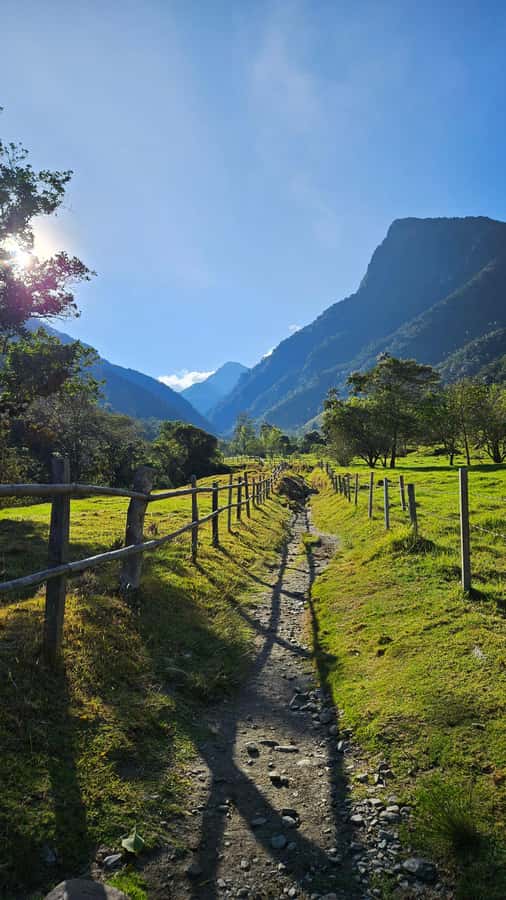 Cocora: trek to the hummingbirds sanctuary - Who will enjoy this six-hour outing