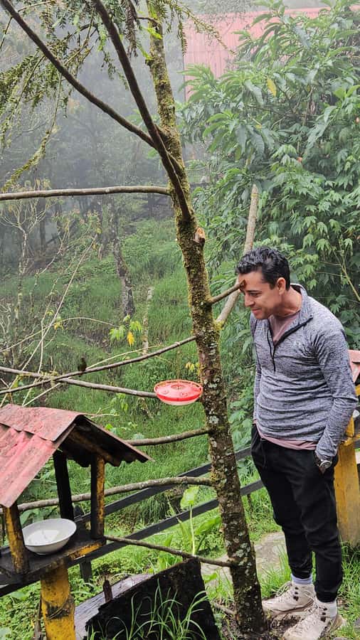 Cocora: trek to the hummingbirds sanctuary - The climb through grassland and cloud forest