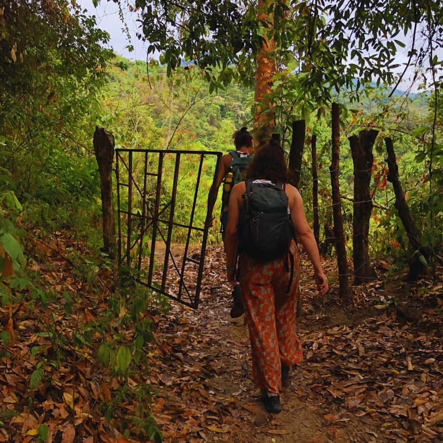 Coffee, Cocoa and Trekking Tour in Minca: Nature, Crops and Production - Why this Minca tour feels different