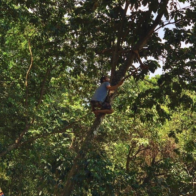 Coffee, Cocoa and Trekking Tour in Minca: Nature, Crops and Production - Forest paths, native plants, and mountain views