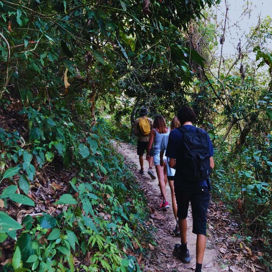 Coffee, Cocoa and Trekking Tour in Minca: Nature, Crops and Production - The waterfall stop and natural swimming break