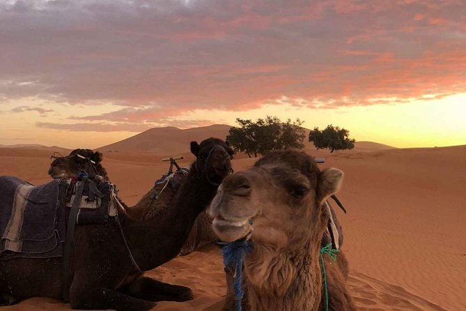 Combined Tour: Atlas Mountains Trek and Sahara Desert 5 days Tour - The Mount Toubkal summit attempt