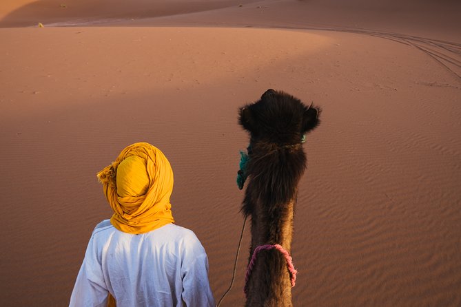 Combined Tour: Atlas Mountains Trek and Sahara Desert 5 days Tour - Crossing the Tizi n’Tichka Pass to Ait Ben Haddou