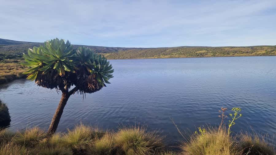Conquer Mount Kenya: Mt Kenya Trekking via Chogoria 4-5 days - Day 4: Walking down to Sirimon Gate