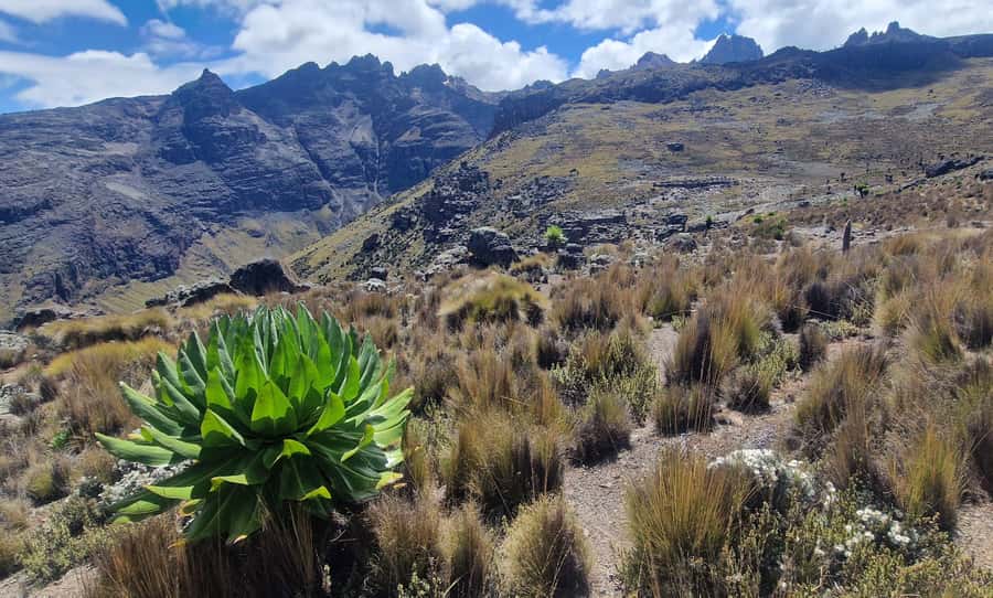 Conquer Mount Kenya: Mt Kenya Trekking via Chogoria 4-5 days - The real cost of the Mount Kenya trek
