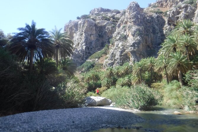 Crete: River Trekking at Preveli Beach - How hard is the river trek?