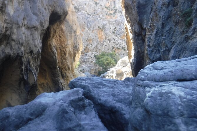 Crete: River Trekking at Preveli Beach - What the $118.29 price covers