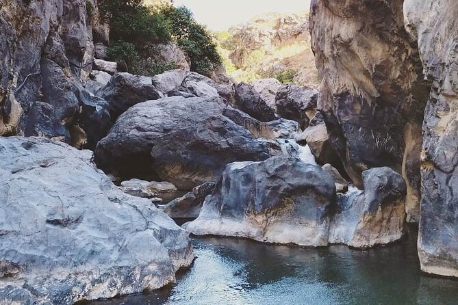 Crete: River Trekking at Preveli Beach - Safety, guide attention, and group size