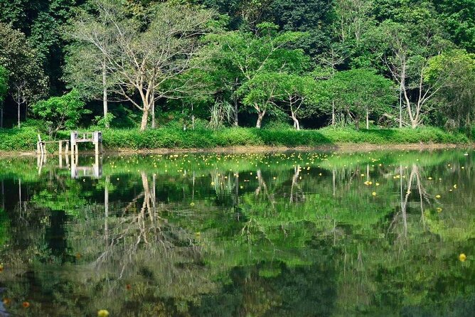 Cuc Phuong National Park Private Day Tour: Trekking & Primates - The 8:00 AM Start and the Long Ride South