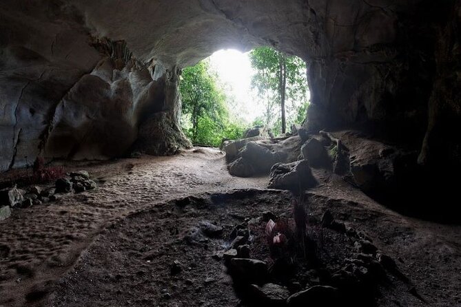 Cuc Phuong National Park Private Day Tour: Trekking & Primates - What the Private Format Really Adds