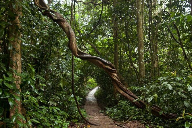Cuc Phuong National Park Private Day Tour: Trekking & Primates - Who Will Enjoy This Day Most