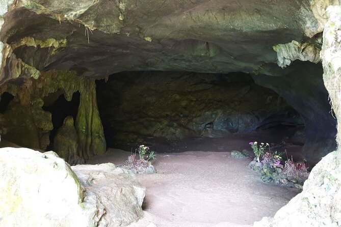 Cuc Phuong National Park Private Day Tour: Trekking & Primates - Trekking Toward the Thousand Year Old Tree