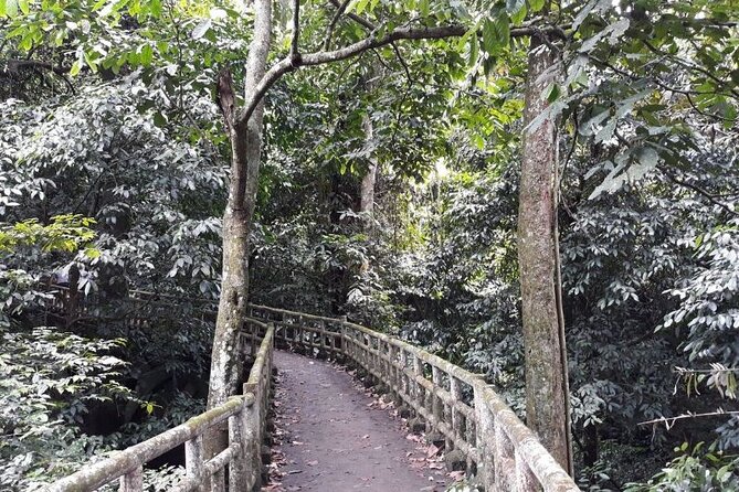 Cuc Phuong National Park Trekking: Private Day Tour From Hanoi - Why Cuc Phuong makes a good day trip from Hanoi