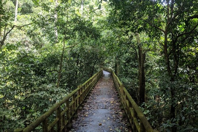 Cuc Phuong National Park Trekking: Private Day Tour From Hanoi - Three hours through primary forest to the ancient tree