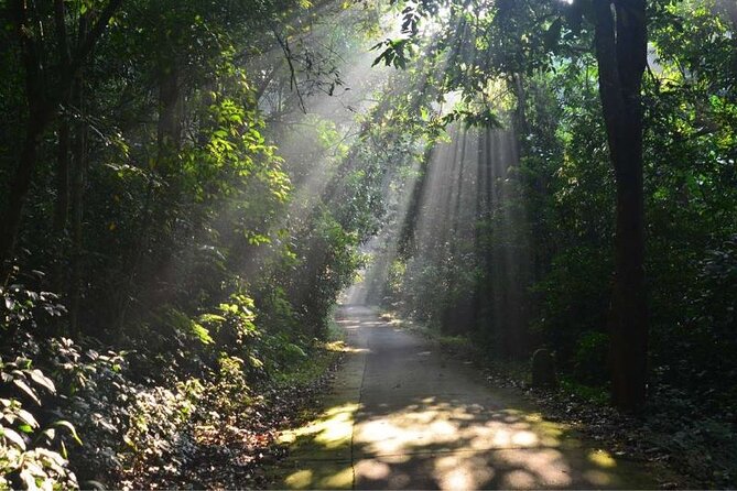 Cuc Phuong National Park Trekking: Private Day Tour From Hanoi - Lunch at a stilt house in the park center
