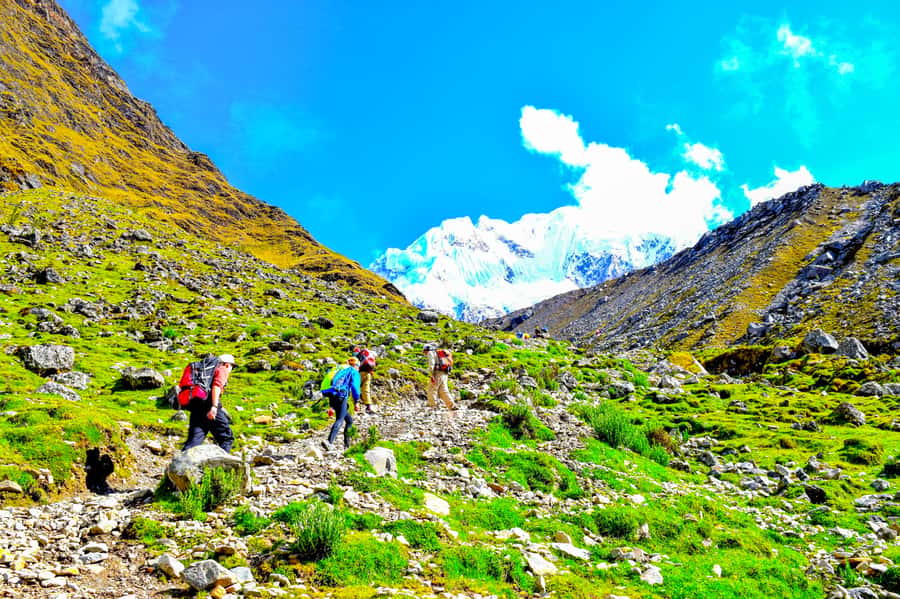 Cusco: 5-Day Salkantay Ultimate Trek to Machu Picchu - Key Points Before You Book