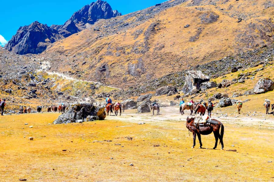 Cusco: 5-Day Salkantay Ultimate Trek to Machu Picchu - Day Three: From Sahuayaco to Family Coffee Country
