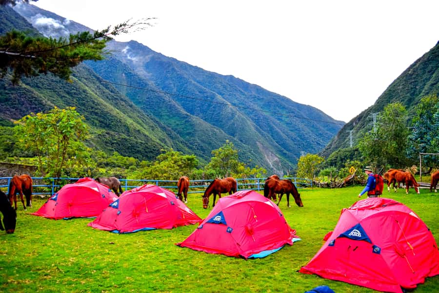Cusco: 5-Day Salkantay Ultimate Trek to Machu Picchu - Day Five: Machu Picchu With a Guide