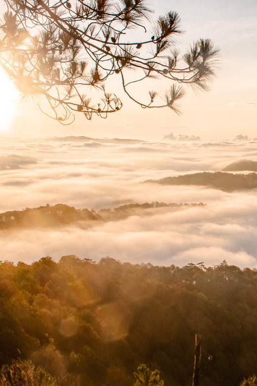 Da Lat: Chasing the Sunrise - A Mini Trek Adventure - Meeting at Da Lat Diocese Cathedral