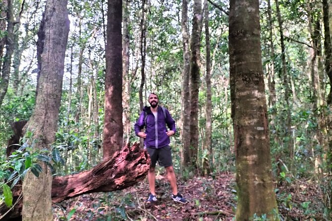Da Lat Trekking to Langbiang Mountain with Coffee View - Through the forest toward Radar Peak