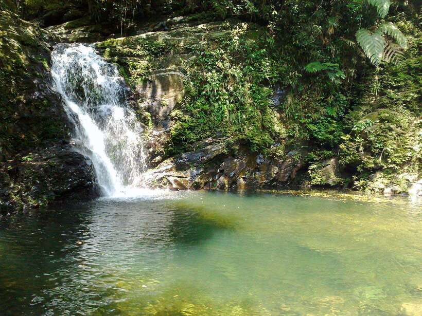 Da Nang: Bach Ma National Park Trek And Beach Retreat - How difficult is the hike?