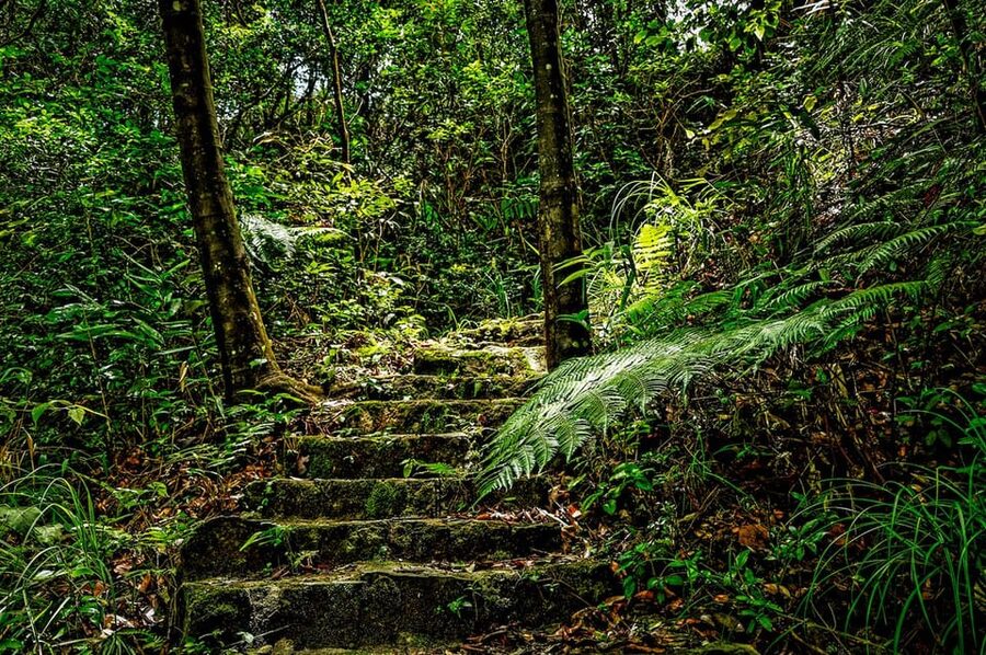 Da Nang: Bach Ma National Park Trek And Beach Retreat - What to pack for a wet mountain day