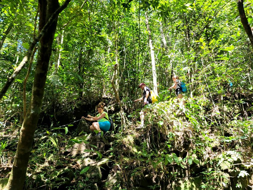 Da Nang/Hoi An to Hue via Bach Ma National Park Trekking - The Bach Ma National Park entry and small-group format