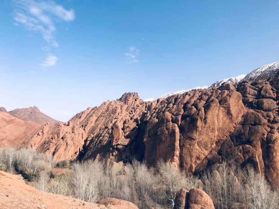 Dades Gorges: Monkey Toes Rock Formation Guided Trek - How demanding is the walk?