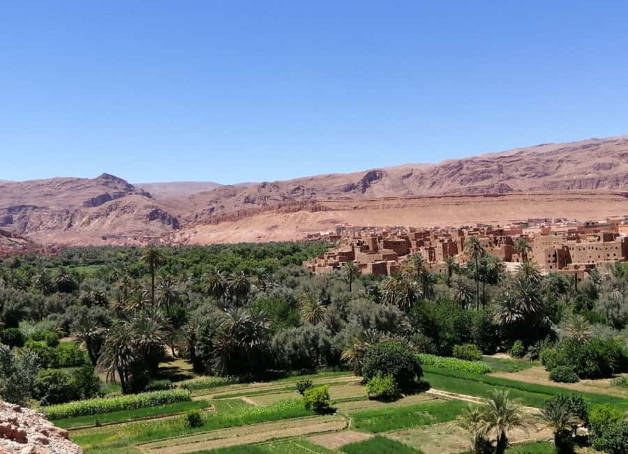 Dades Gorges: Monkey Toes Rock Formation Guided Trek - Final call: should you book Monkey Toes?