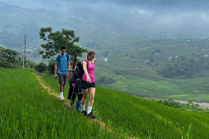 Daily Tour: Sapa Trekking in Muong Hoa valley, Bamboo forest - The views are the payoff, but the trail has a price