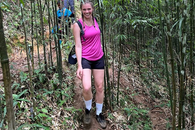 Daily Tour: Sapa Trekking in Muong Hoa valley, Bamboo forest - Is $29.90 a fair price?