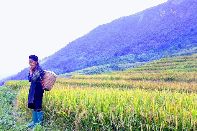 Daily Tour: Sapa Trekking in Muong Hoa valley, Bamboo forest - Ta Van combines lunch with local life