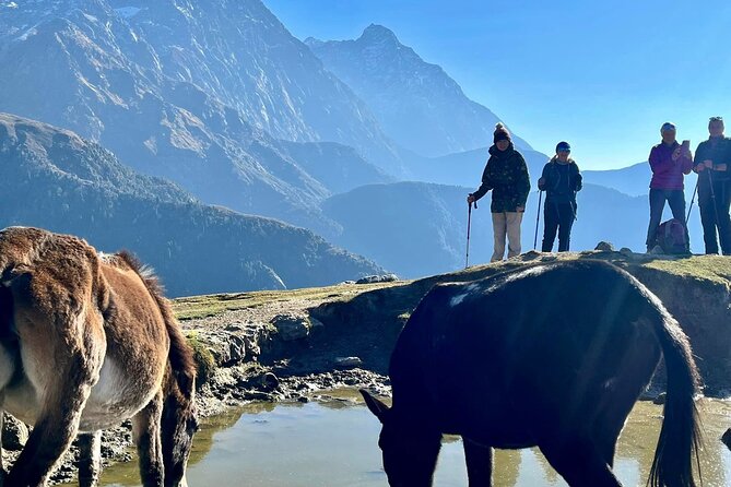 Dalai Lama Himalayan Trek - Day 11: A final afternoon in New Delhi