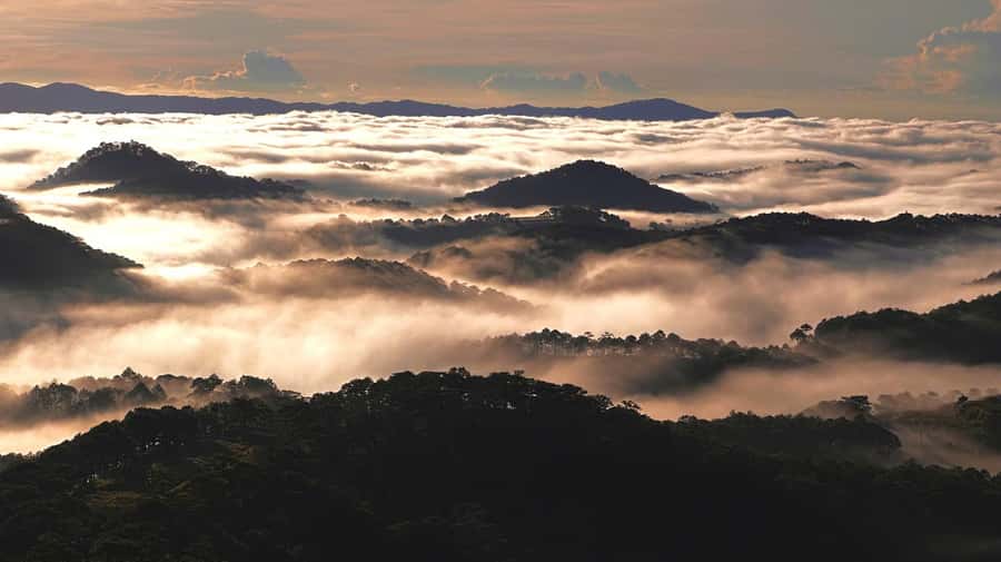 Dalat: Sunrise Trekking and Cloud Hunting experience - Who should book this experience?